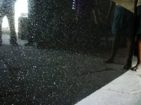 Black Galaxy Granite Slabs and Tiles Buy Today