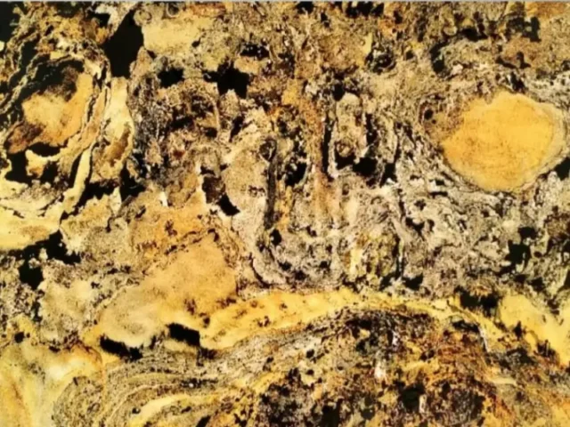 California Gold Translucent Veneer