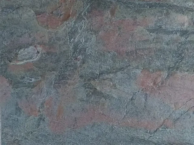 Forest Fire