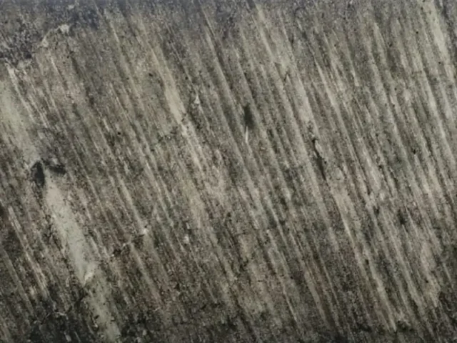 Line Black Translucent Veneer