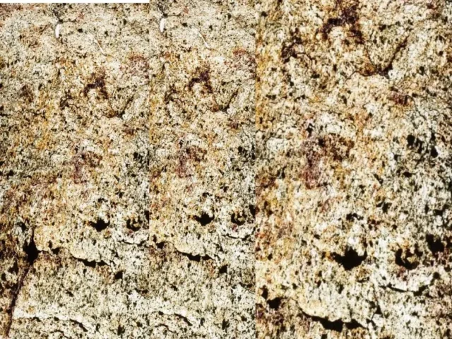 Sanjayani White Translucent