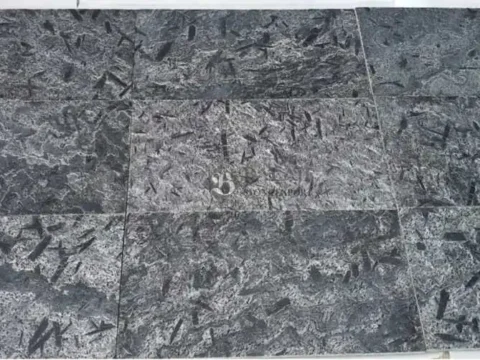 Silver Grey Matrix Quartzite Pool Tiles
