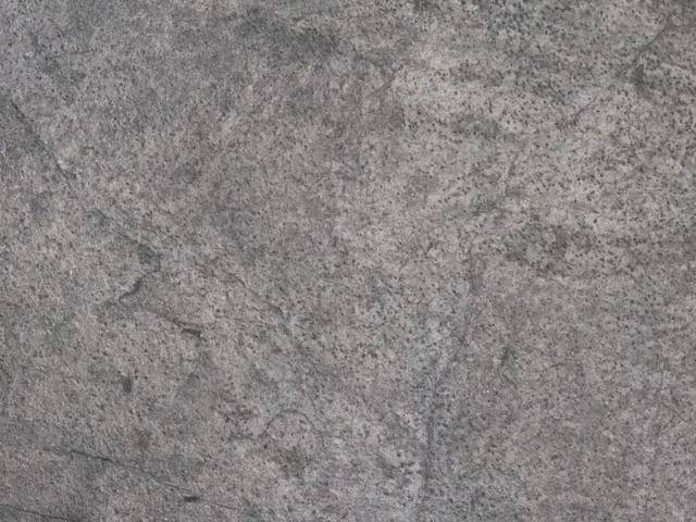 Silver Grey Veneer